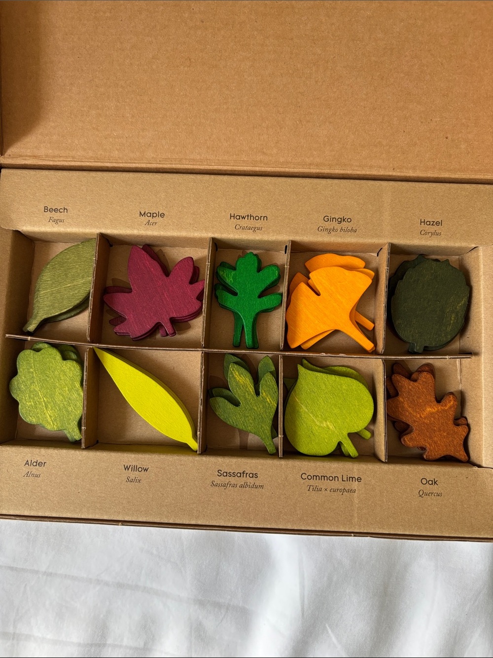 woodland leaves by moon picnic loose parts play - Picture 2 of 2